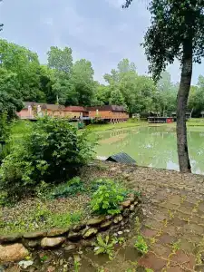 Комарово клуб - 53
