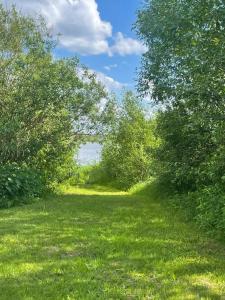 Курорт Бора-Боровск - 39