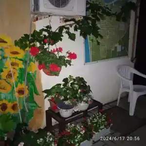 Домики на Советской 8 - 2
