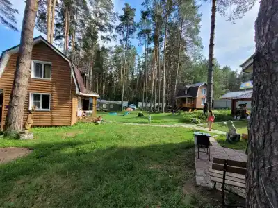 Медвежий угол - 23