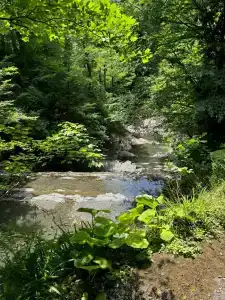 Огни Сочи - 39