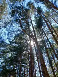 Саянский домик - 47