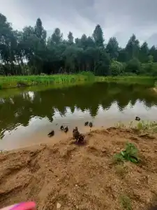 Фестиваль-Парк - 10