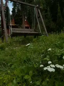 Теле - 24