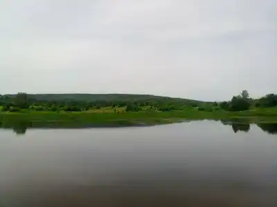 Берлога - 17
