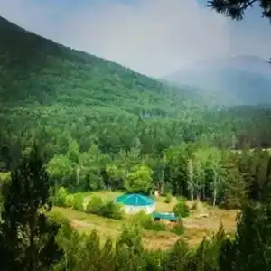 Халюта - 30