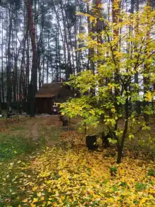 Пикник - 30