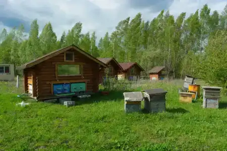 Белая лошадь - 6