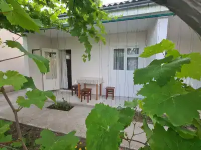 Южный Берег - 33