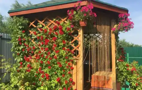 Владимирский Хуторок - 87