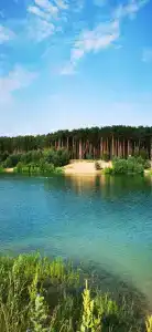 Андреевский - 1