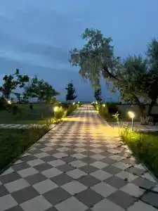 Электра Холидей - 75