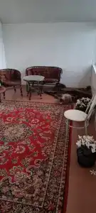 Коди Ярви - 60