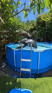 Лето всем - 4