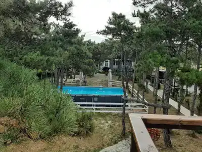 Песчаный берег - 18