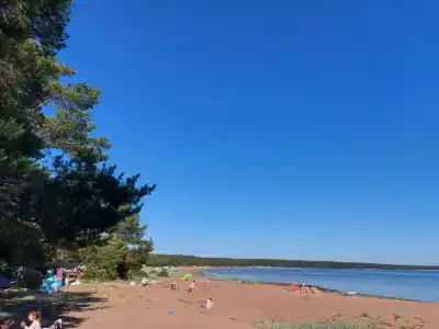 Бухта желтая - 96
