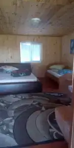Пасека - 11