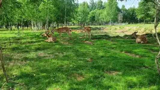 Уютный домик в Елдино - 4