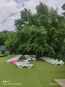 Дубрава - 20