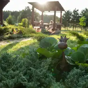 Лесной Эдем - 25