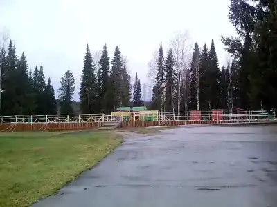 Сокол - 30