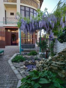 Homely - 1