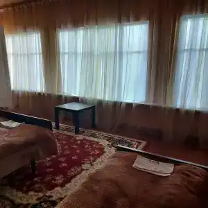 у тёти Ханий - 1