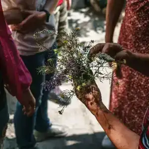 у тёти Ханий - 55