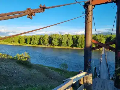 Аргут - 10