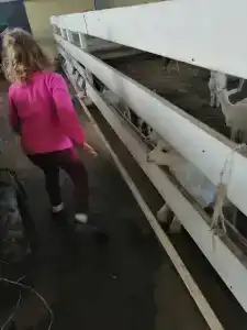 Александровский спас - 89