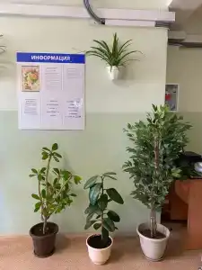 Восточный - 10