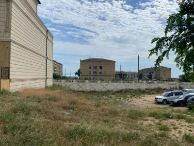 Пальмира - 33