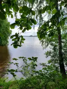 Пялово - 21