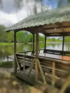 Полушкино - 35