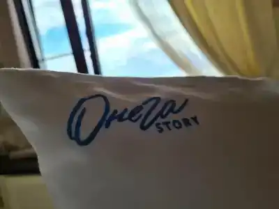 Онега Story - 36