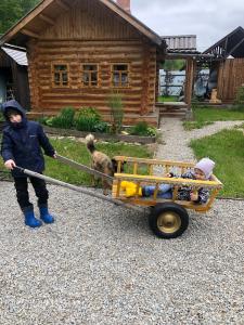 Солонь - 13