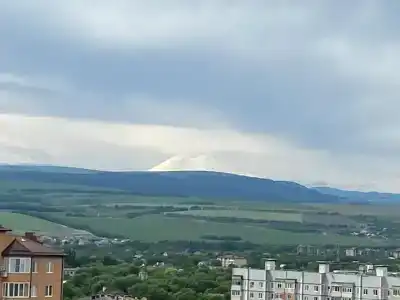 Дон - 65