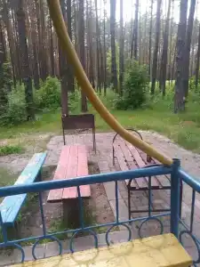 Синезерки - 22
