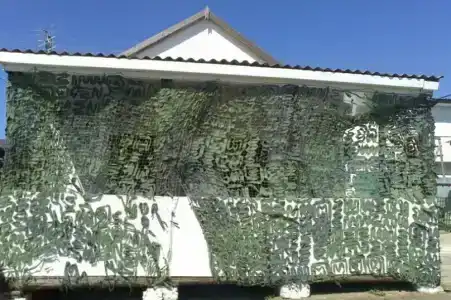 Дружба - 18