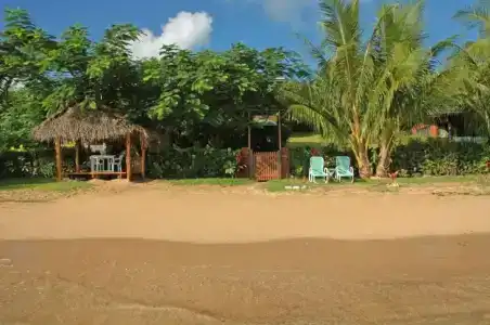 Coconut Grove Beachfront Cottages - 2