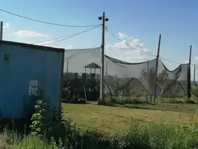 Гремячево - 26