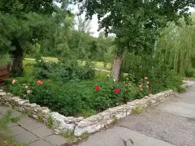 Чардым-Дубрава - 7