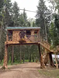 Хвойный бор - 28