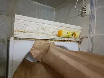 Атмосфера на Толстого - 45