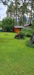 Заимка у Катуни - 90