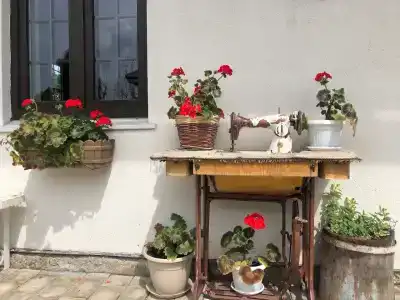 Старая Провинция - 26