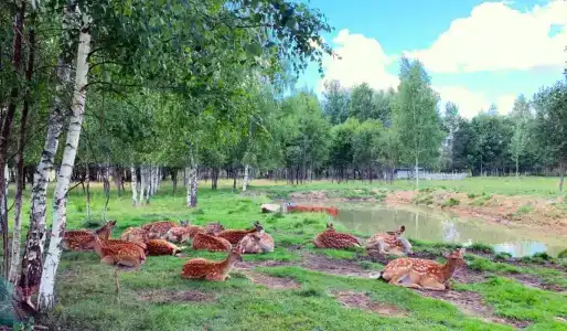 Место 7 - 27