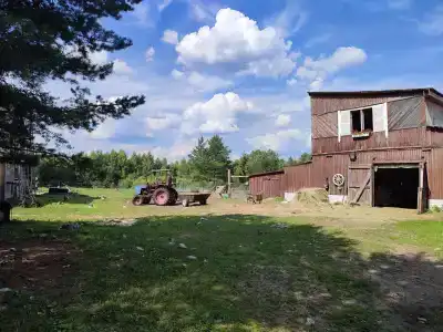 Паллада пастораль - 4
