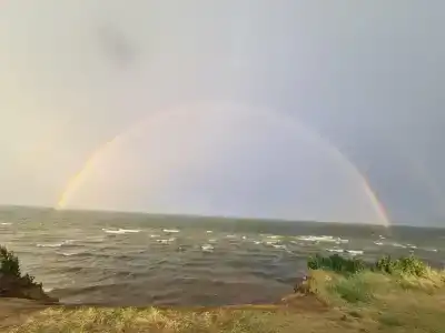 Причал 55 - 20