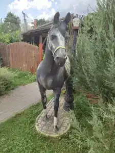 Варваровка - 23